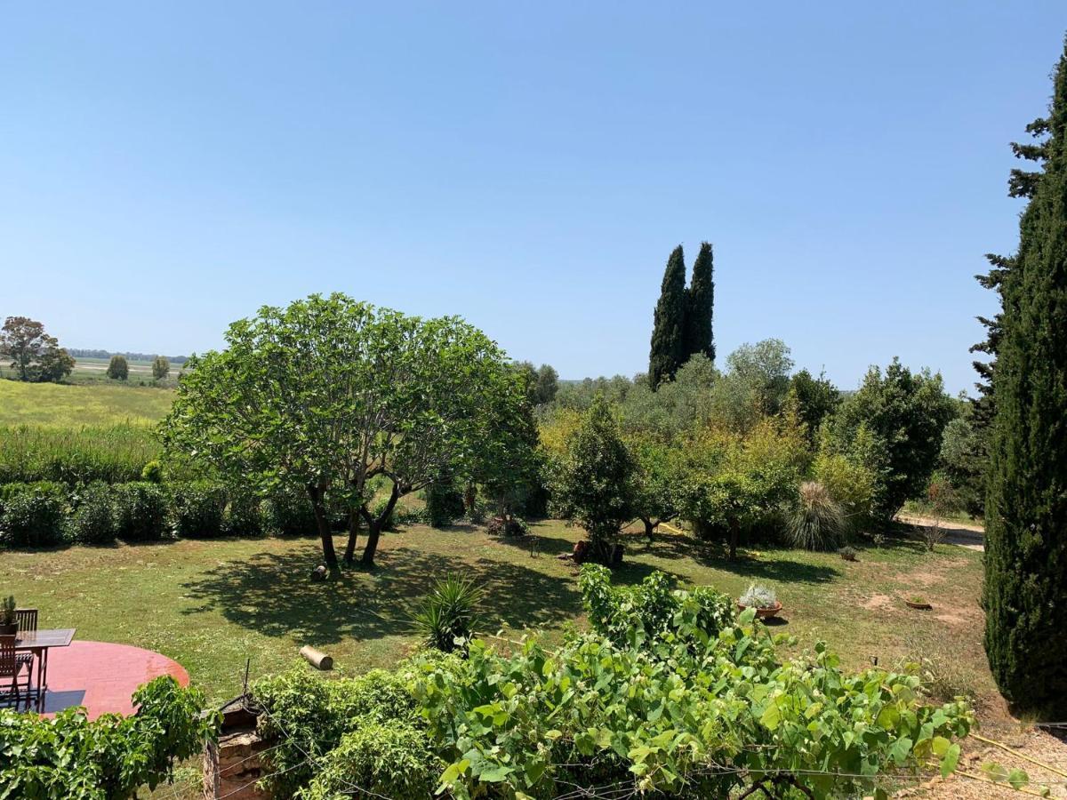 Villa Casale Degli Ulivi Maccarese Le Cerquete Exterior foto