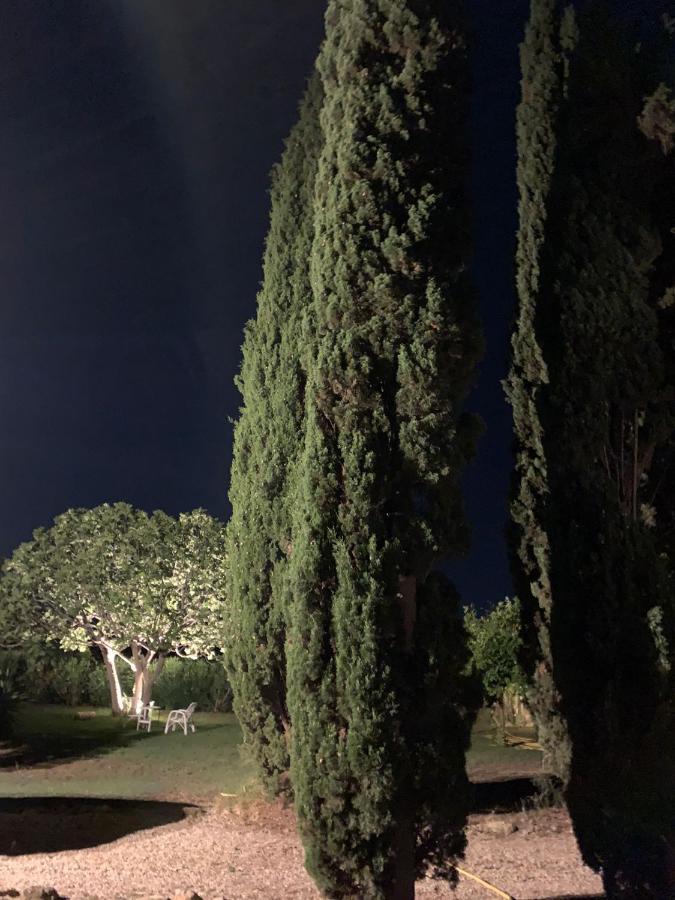 Villa Casale Degli Ulivi Maccarese Le Cerquete Exterior foto