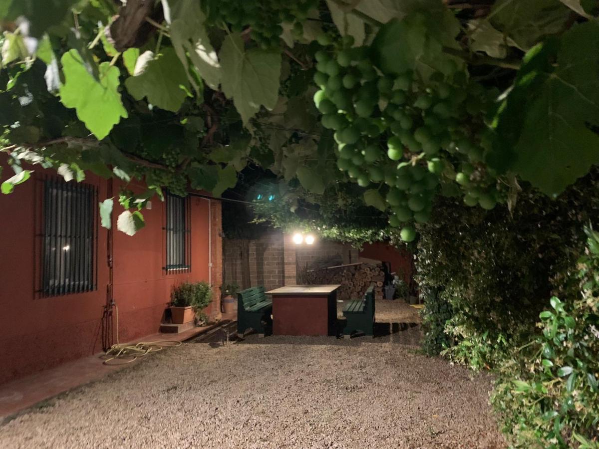Villa Casale Degli Ulivi Maccarese Le Cerquete Exterior foto